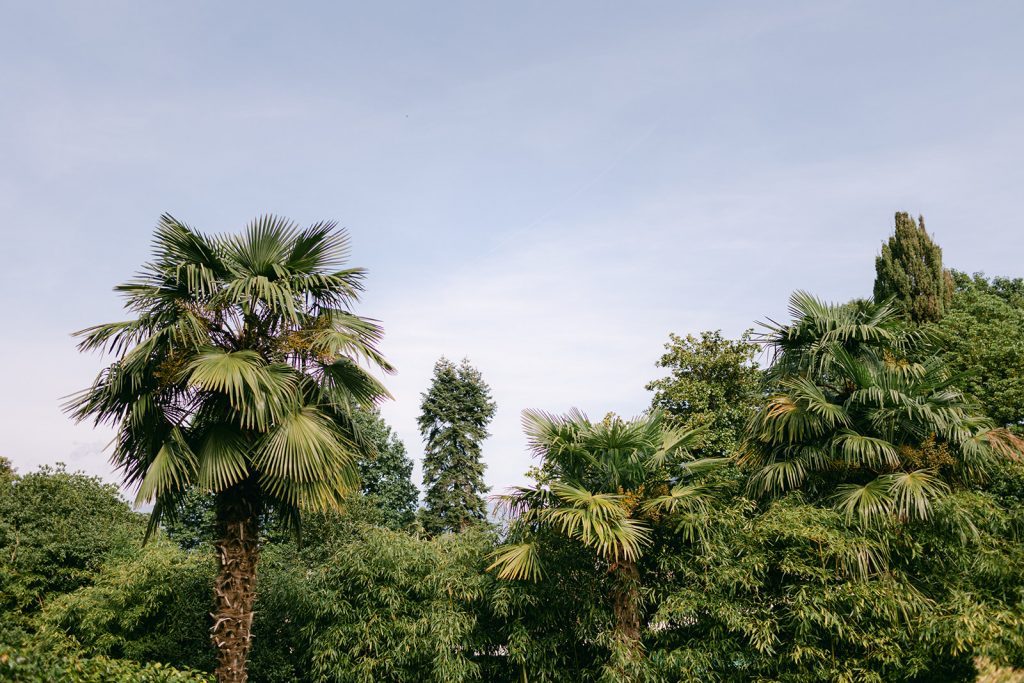 wedding venues in Dubai